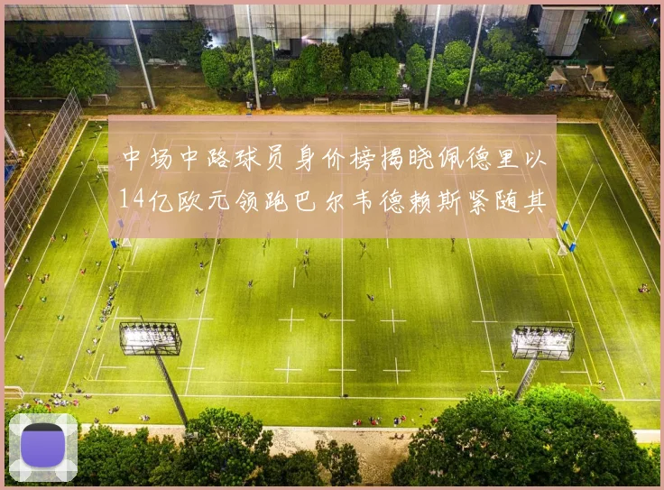 中场中路球员身价榜揭晓佩德里以14亿欧元领跑巴尔韦德赖斯紧随其后