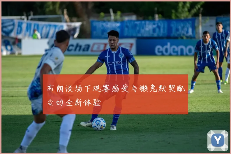 布朗谈场下观赛感受与獭兔默契配合的全新体验