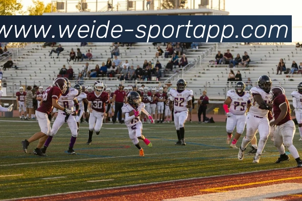 App Interface Preview