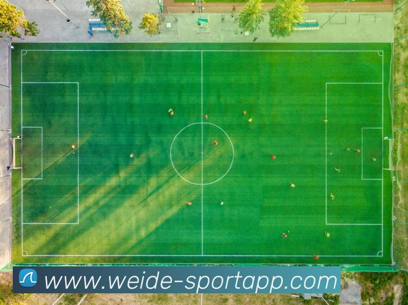 伟德体育APP 封面图